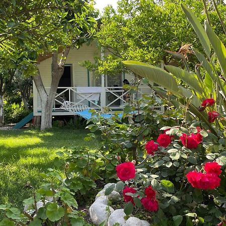 Bellerofon Beach Otel Чирали Екстериор снимка
