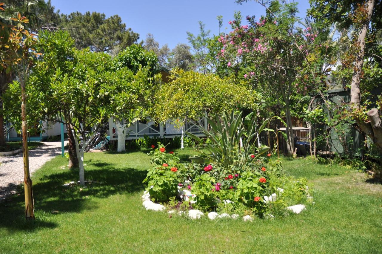 Bellerofon Beach Otel Чирали Екстериор снимка