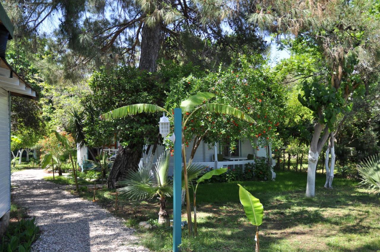 Bellerofon Beach Otel Чирали Екстериор снимка