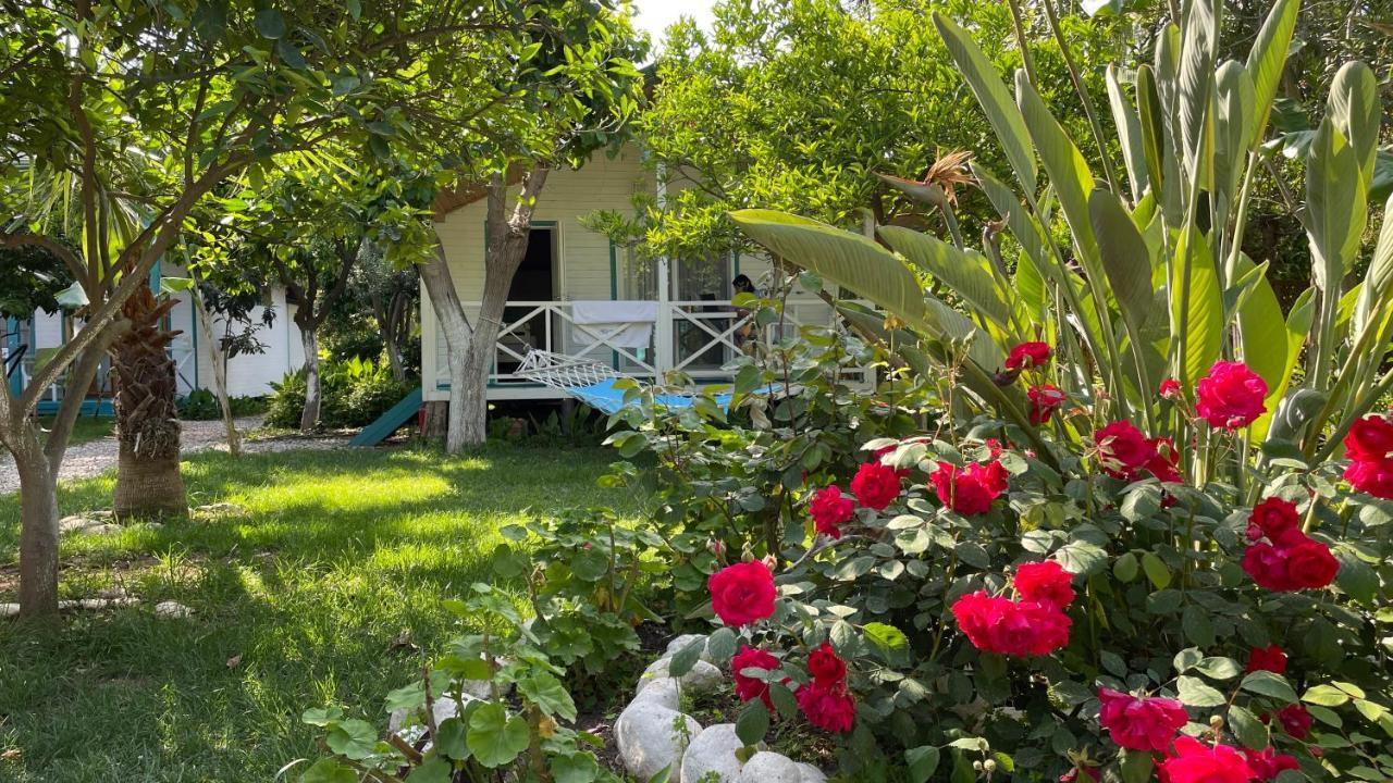 Bellerofon Beach Otel Чирали Екстериор снимка