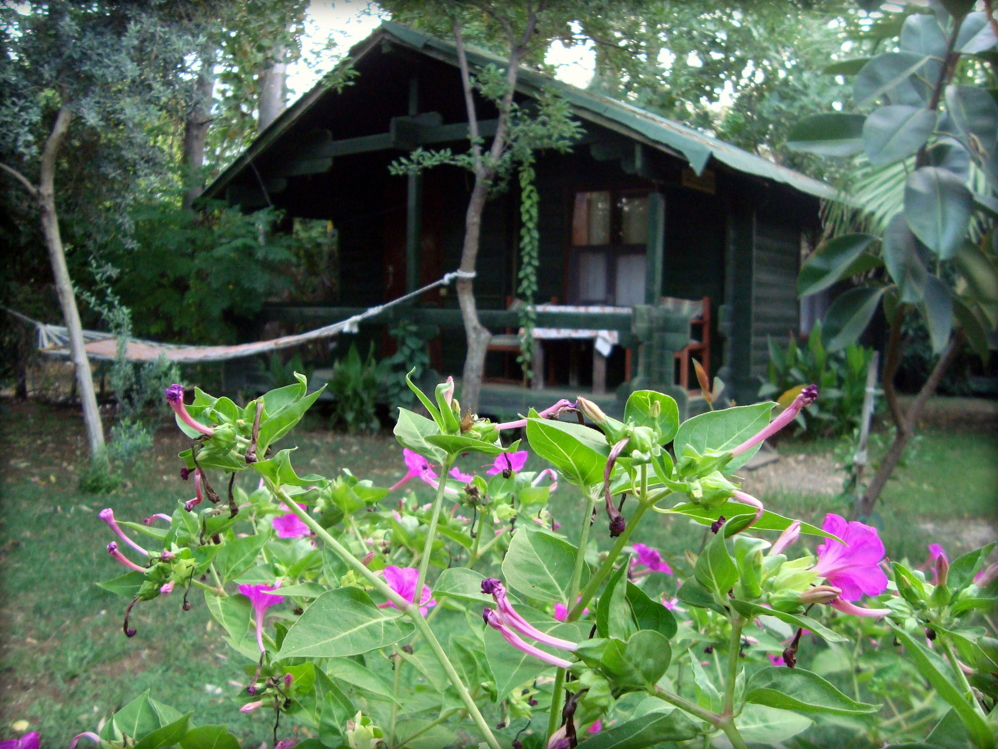 Bellerofon Beach Otel Чирали Екстериор снимка