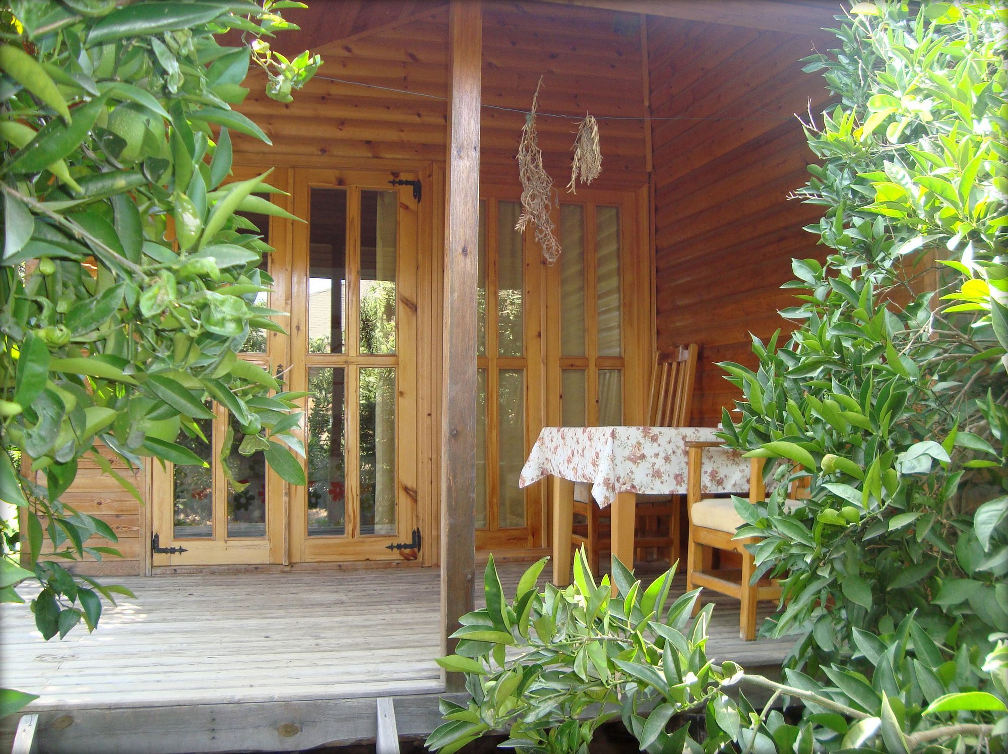 Bellerofon Beach Otel Чирали Екстериор снимка