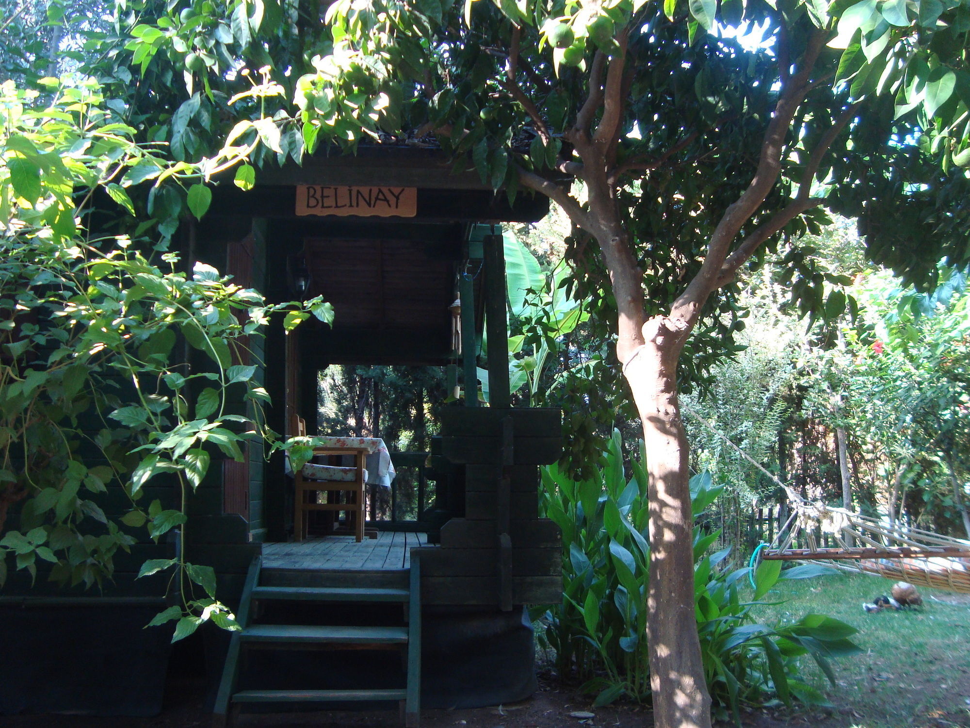 Bellerofon Beach Otel Чирали Екстериор снимка