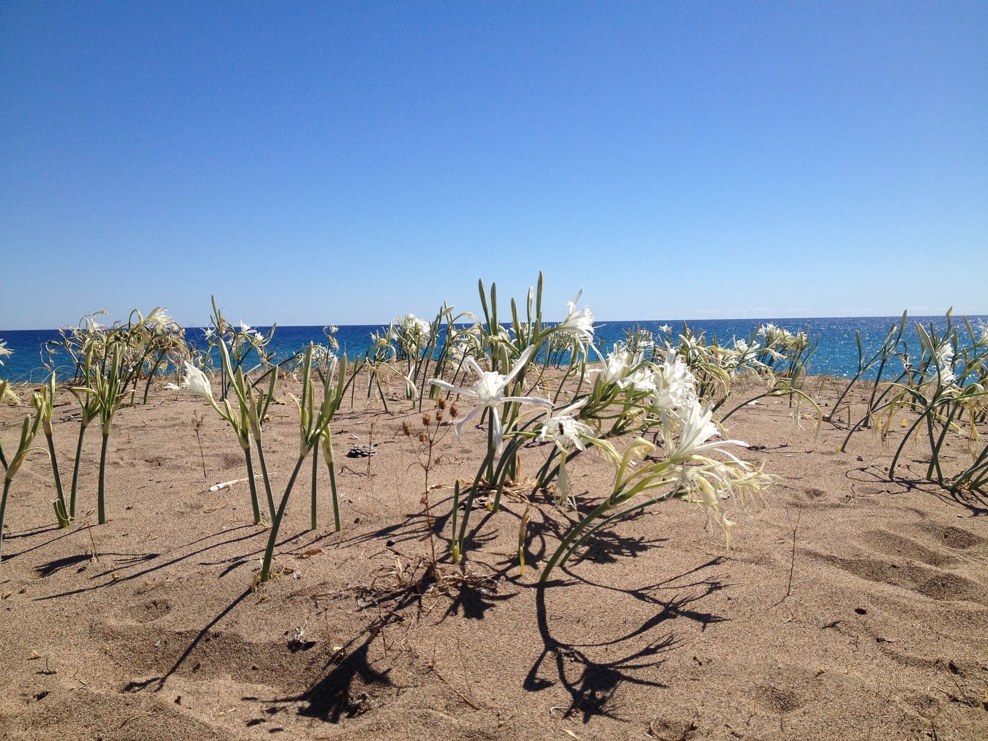 Bellerofon Beach Otel Чирали Екстериор снимка